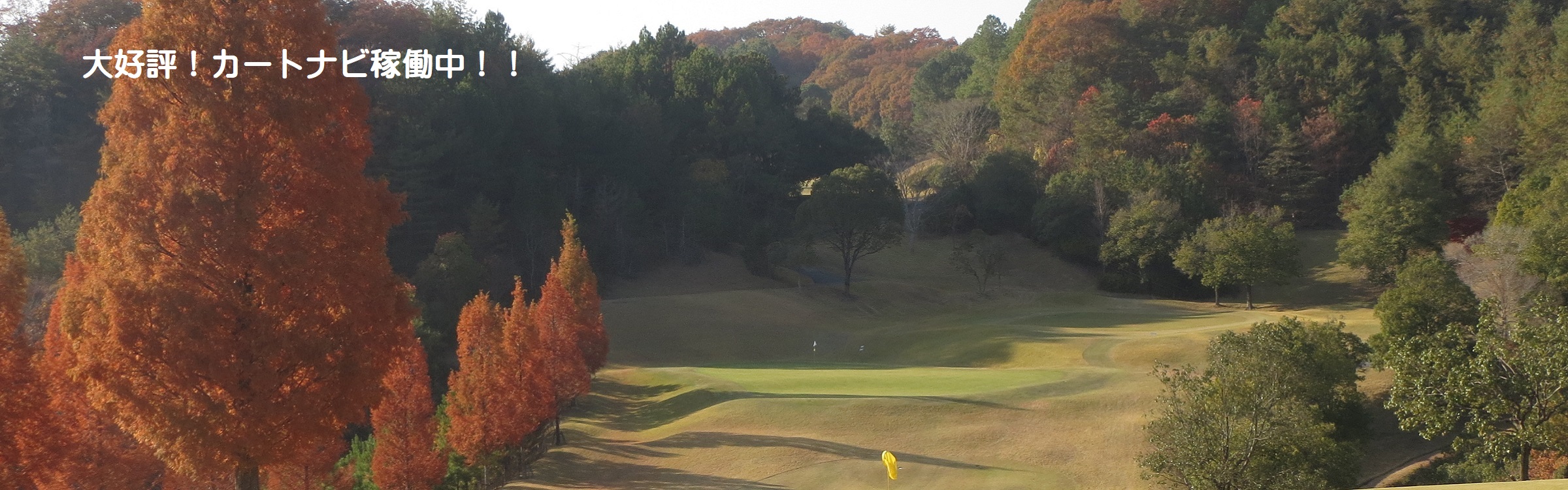 兵庫県 ゴルフ場 ストークヒルゴルフクラブ夏