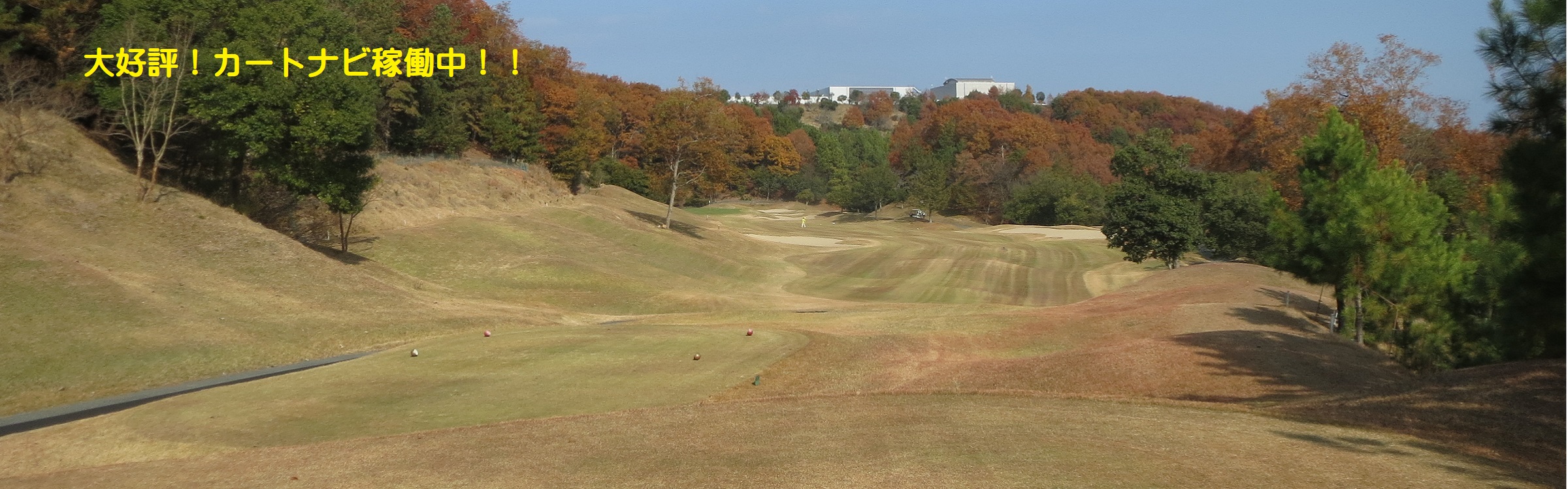 兵庫県 ゴルフ場 ストークヒルゴルフクラブ夏