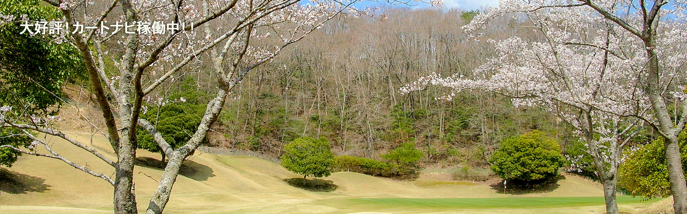 兵庫県 ゴルフ場 ストークヒルゴルフクラブ春