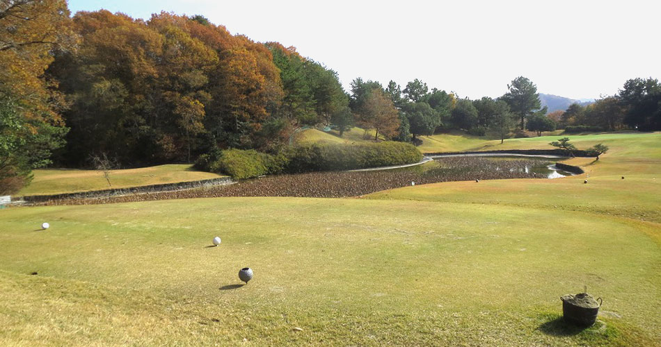 ストークヒルゴルフクラブのコースレイアウトとホール攻略難易度 Gdo